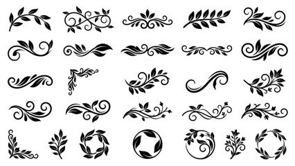 Fototapeta premium Eco Organic Black Flourish Vector Set with Flowing Leaf Curves for Sustainable Branding