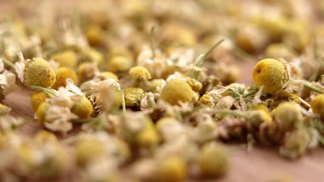Dry chamomile flowers falling onto a wooden table surface. Organic medical matricaria chamomilla blossoms. Traditional alternative medicine ingredient