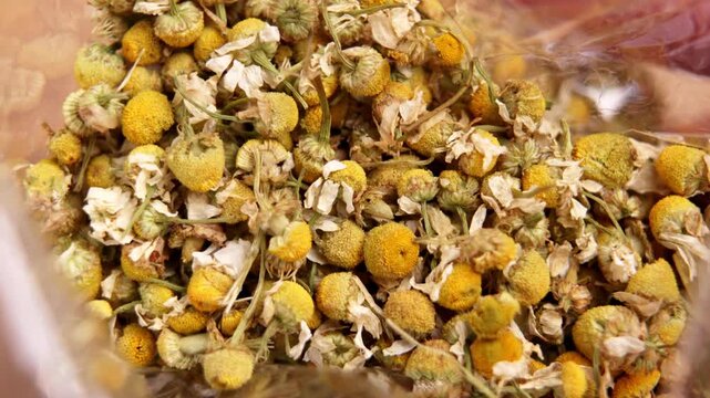 Dried chamomile flowers stored inside transparent plastic package with yellow blossoms, stems and petals. Organic herbal tea ingredient