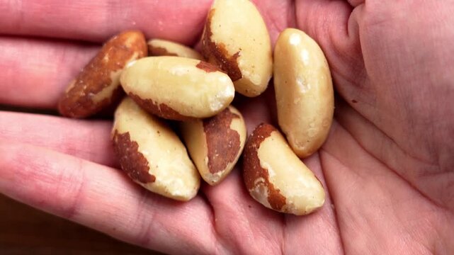 Closeup of organic Brazil nuts resting in a human palm. Plant based  natural snack ingredients rich in selenium and beneficial fats