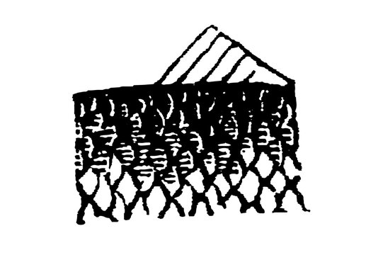 Overlapping organic scales of a fish or reptile, vertical rows of hatched and stippled geometric units simulating the texture of skin, old vintage illustration, 1897