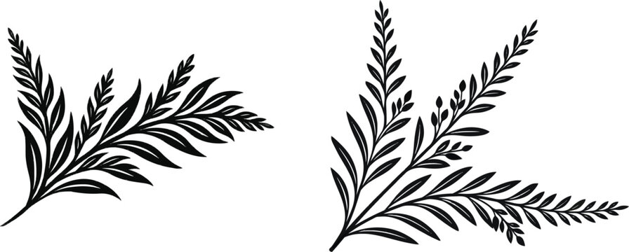Heather sprigs from Scottish folklore corner vignette, minimalist modern botanical silhouette in solid black color fill on a clean white background with high-contrast vector design elements