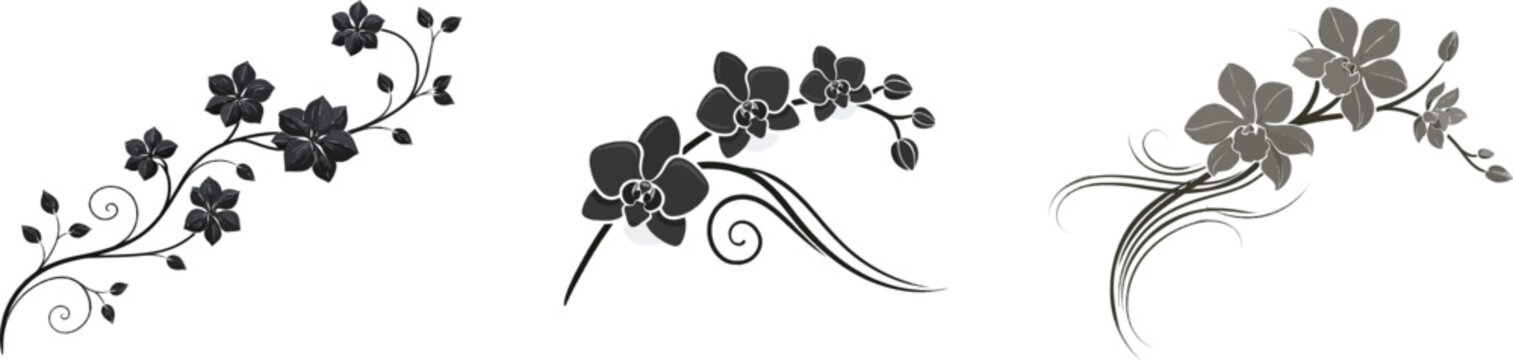 A minimalist black ink botanical flourish with elegant orchid vine divider on a crisp white background, perfect for automatic image trace