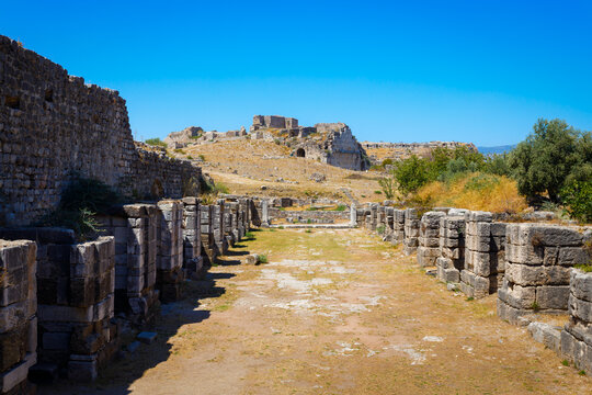 Miletus Archaeological Site near Didim city in Turkey
