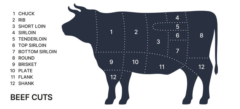 Cow, beef, meat. Vintage beef cuts chart, black cow butcher diagram, rustic meat scheme. Beef cow cuts butcher chart, meat shop, guide, infographic. Vintage typographic hand-drawn. Vector Illustration