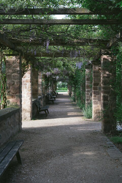path in the park