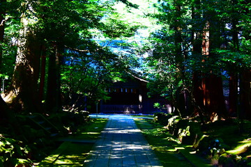 新潟県 弥彦村の彌彦神社（弥彦神社） © Via Nova