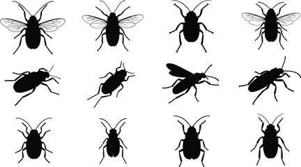 Twelve black insect silhouettes with wings and antennae on white background © My design