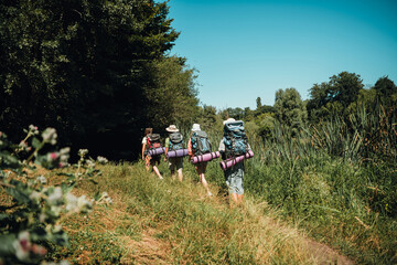 Friends hiking with backpacks and sleeping mats along a grassy trail through wetlands on a sunny summer day