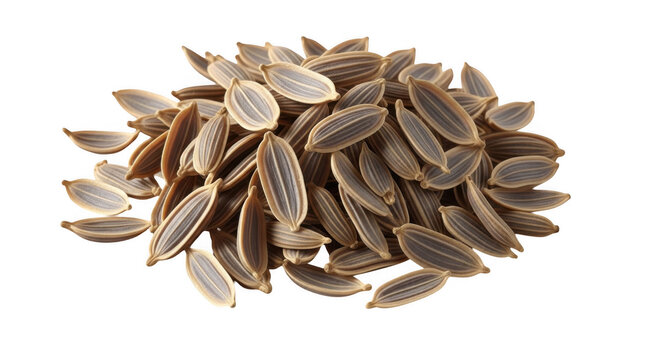 A cluster of dried brown cumin seeds arranged in a pile against a solid black background, showing detailed texture and oval shapes