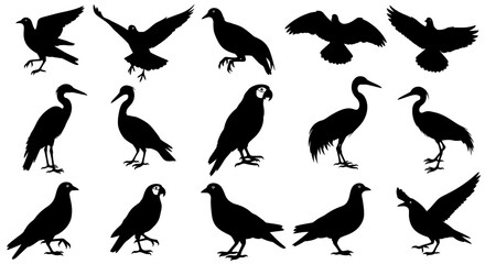 Obraz premium Collection of black bird silhouettes in various poses on white background for design