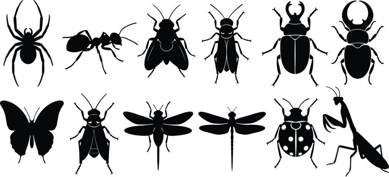 Collection of black insect silhouettes including spider ant fly beetle butterfly dragonfly ladybug and praying mantis