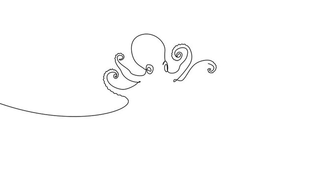 Continuous One Line Octopus Marine Animal Minimal Ocean Illustration Animation