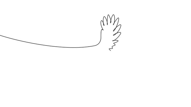 Continuous One Line Eagle Bird in Flight Minimal Animation