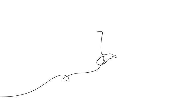 Continuous One Line Eagle Flying Bird Wildlife Animation
