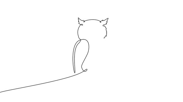Continuous One Line Owl Bird Wildlife Minimal Illustration Animation