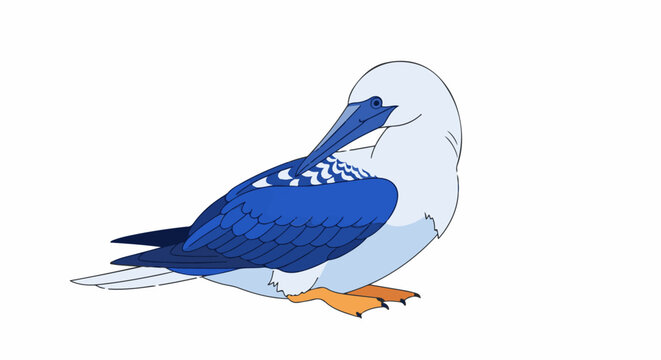 Cartoonish illustration of a blue-footed booby bird grooming itself