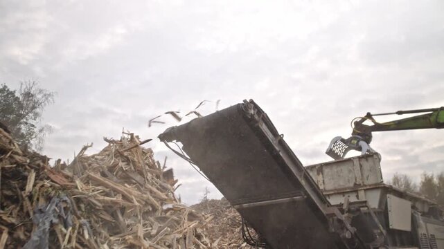 Landfill. Excavator belt wood chipper. Wood processing. Recycling. Ecology. Large mountains of bulk wood biomass. Wood recycling and processing.