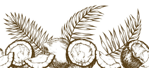 Seamless border of coconuts and palm leaves. Vector illustration in sketch style. © Tatiana