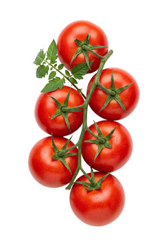 Fresh ripe red tomatoes on vine with green leaves