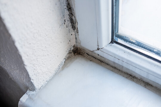 Black mold growing on window frame and wall, concept of household moisture damage and fungus problem