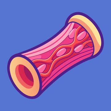 Stylized Elastic Cartilage Tissue Cross-Section
