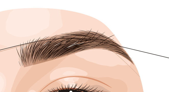 Close-up illustration of eyebrow threading with precise detail, showcasing a single thread shaping a well-groomed brow against a clean white background