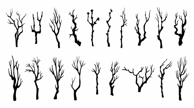 Minimalist silhouette illustration of diverse leafless trees with unique branching patterns and trunk shapes, isolated on white background for design and decoration