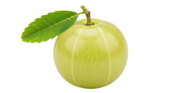 A single fresh indian gooseberry, or amla fruit, with a green serrated leaf attached to the stem, isolated on a solid black background
