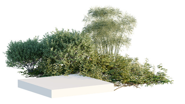 Minimalist Product Display Platform with Green Bushes