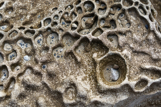 Close-up of brown rock with honeycomb weathering, and tiny stones in the hollows. 