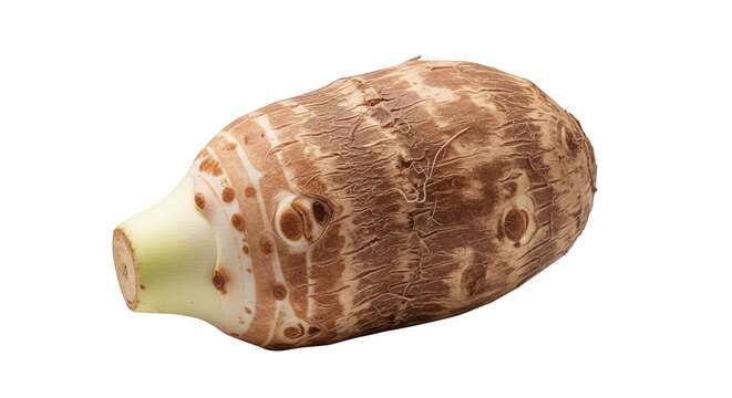 A single raw taro root vegetable with brown fibrous skin and a light green cut stem end, isolated against a solid black background