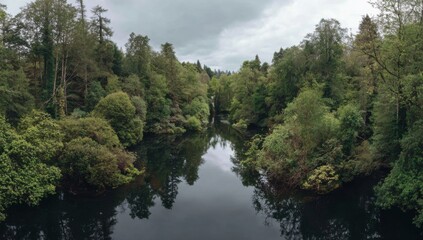 Obraz premium Serene River Flowing Through Lush Green Forest Under Cloudy Sky.