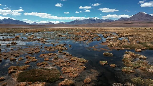 Low forward flight over flooded altiplano bofedal with scattered grass tussocks and reflective water channels leading toward snow-capped volcanic peaks. Putana, Chile
