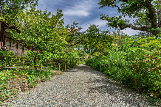 Scenic gravel walking path surrounded by lush summer plants and blue sky at Mukojima-Hyakkaen Gardens September 2023