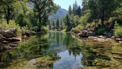 Obraz premium Crystal clear river flows through a lush, green forest with rocky shores and distant mountains