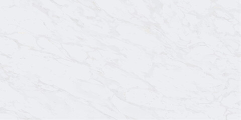 Obraz premium Light White Marble Vector Background with Subtle Gold Highlights and Soft Gray Veins, Smooth Flowing Texture for Elegant Home Decor and Creative Projects