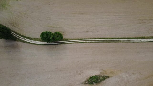 Aerial drone shot over Dambach-La-Ville, France. showing a dirt road cutting through fields and forests offering a scenic view of the landscape.