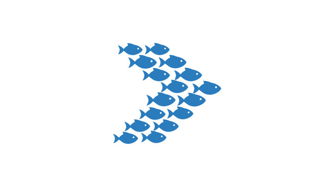 School of blue fish swimming together.