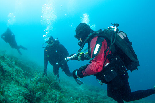 Divers explore an underwater area with marine life in clear blue water during daytime in a tropical location
