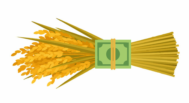 Golden wheat bundle wrapped with dollar bill illustration.