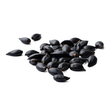 Black cumin seeds Nigella sativa kalonji small pile of healthy organic spices isolated on a transparent background for food design