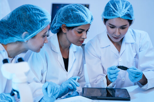 Group of female scientist wearing glove and hairnet examine material sample and digital tablet inside biotechnology research laboratory facility