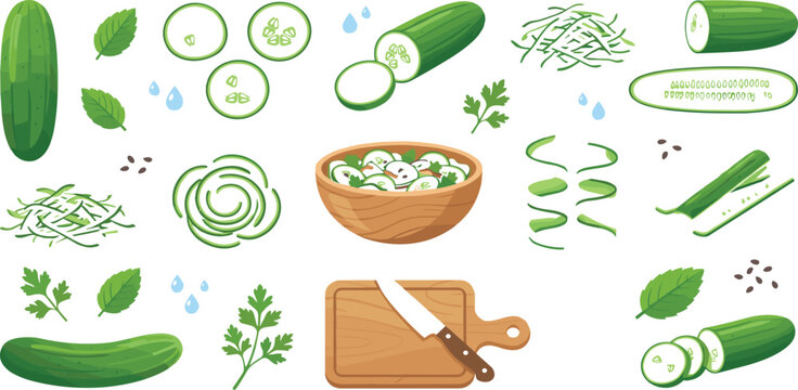 Fresh green cucumber slices and salad set with cutting board kitchen vector illustration