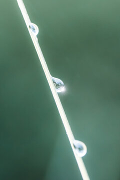 Goutte d&rsquo;eau suspendue en macro minimaliste