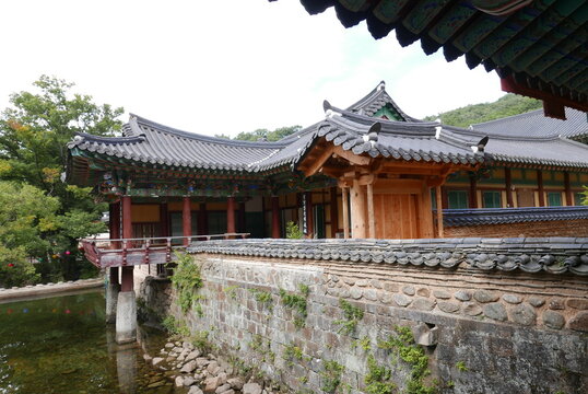 Beautiful autumn foliage at songgwangsa Temple in Suncheon, South Korea