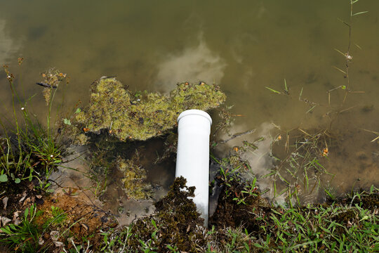 White plastic pipe draining toxic waste water into dirty pond with algae. Polluted lake aquatic ecosystem environmental problem. Sewage contamination, ecology hazard and liquid dump concept title