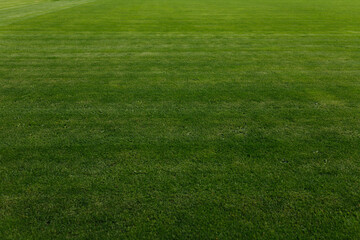 Full frame of perfect green grass on soccer football field. Top view background texture of manicured stadium lawn turf with cut lines. Sports ground landscaping and field maintenance concept © Krystsina