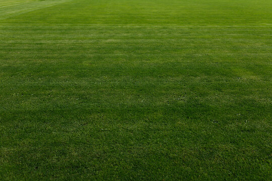 Full frame of perfect green grass on soccer football field. Top view background texture of manicured stadium lawn turf with cut lines. Sports ground landscaping and field maintenance concept