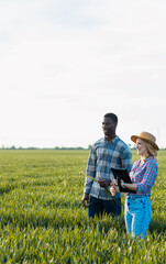 Fototapeta premium Male and female farmers standing in green wheat field examining crop while using tablet during the day.